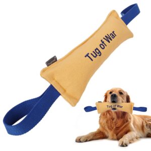 Best Interactive Tug Toys for Dogs