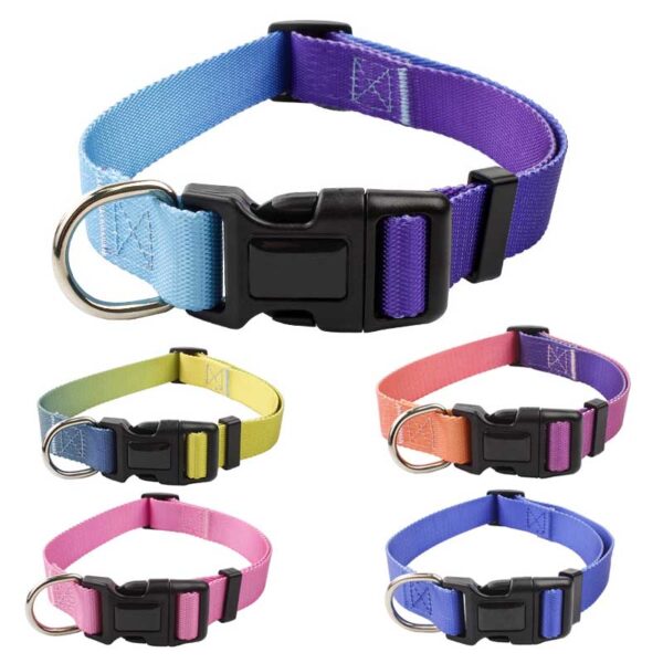 Dog Collar