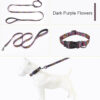 Dog Collar Designed