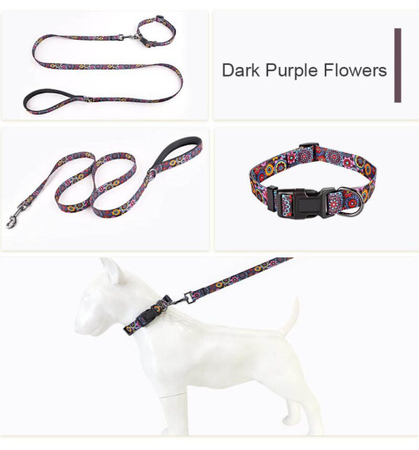 Dog Collar Designed