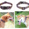 Dog Collar Designed