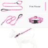 Dog Collar Designed