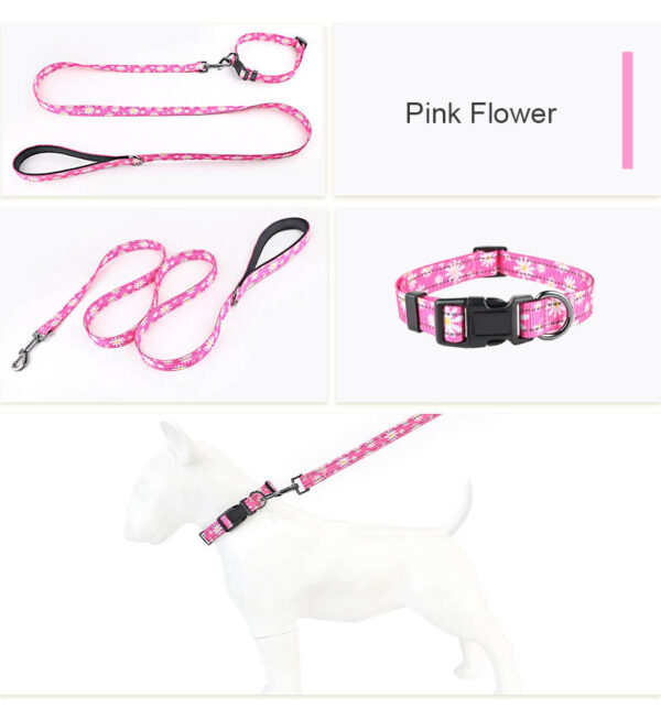 Dog Collar Designed