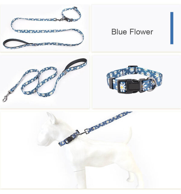 Dog Collar Designed