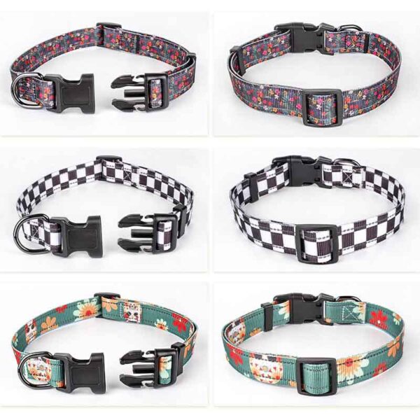 Dog Collar Designed