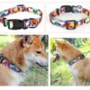 Dog Collar Designed