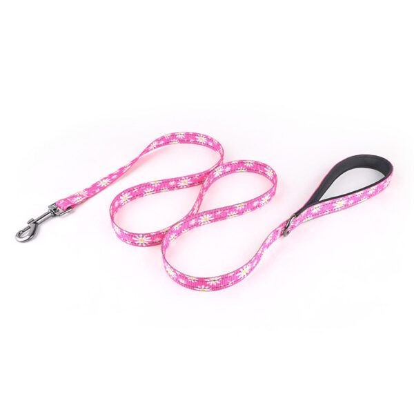 Dog Leash