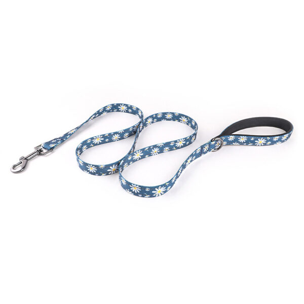 Dog Leash