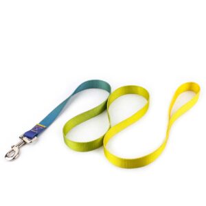 Nylon Dog Leash