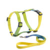 Dog leash Harness set