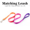 Nylon Dog Leash