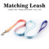 Nylon Dog Leash