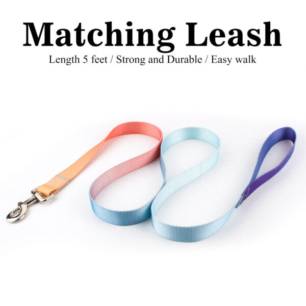 Nylon Dog Leash