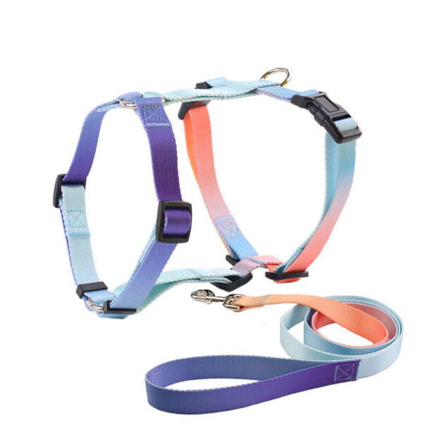 Dog leash Harness set