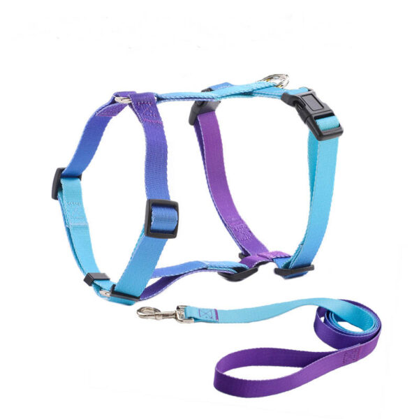 Dog leash Harness set