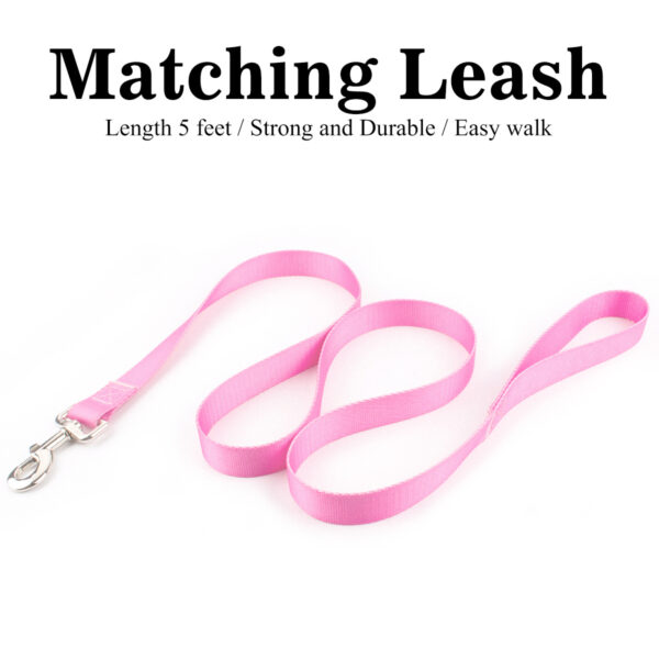 Nylon Dog Leash