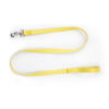 Nylon Dog Leash