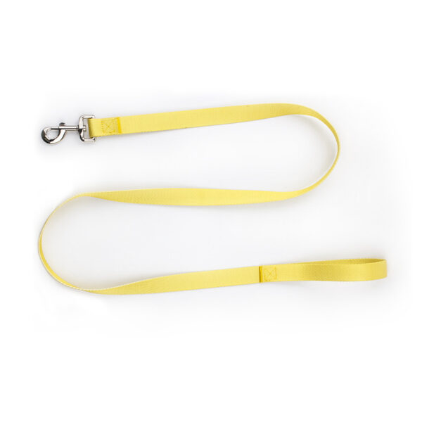 Nylon Dog Leash