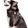 No Pull Dog Harness