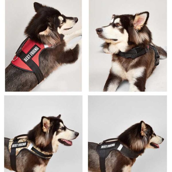 No Pull Dog Harness