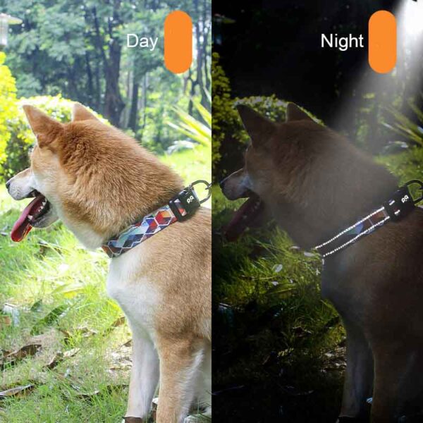 Best Reflective Dog Collars