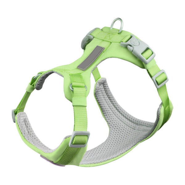 dog harness and leash set