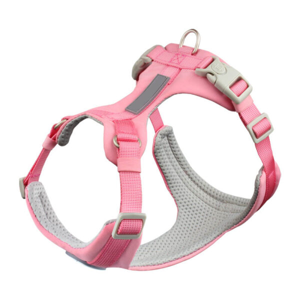 dog harness and leash set