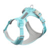 dog harness and leash set