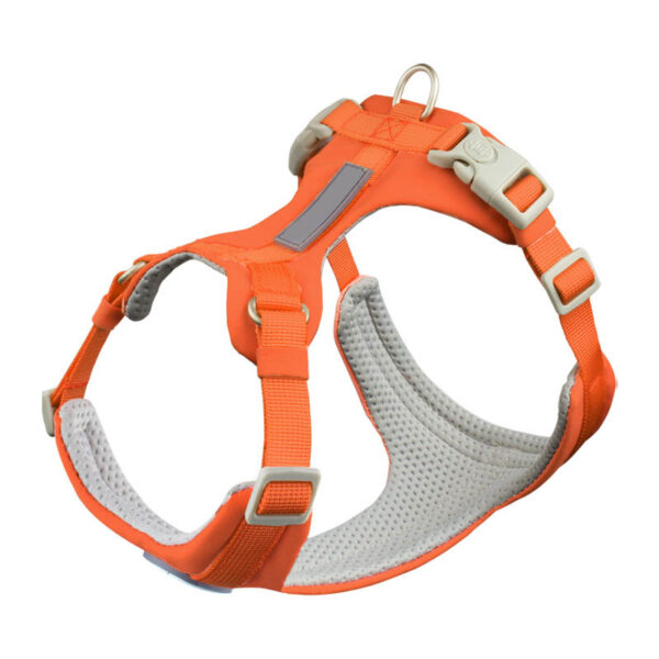 dog harness and leash set