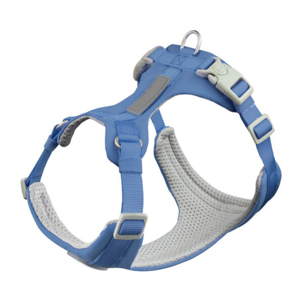 dog harness and leash set