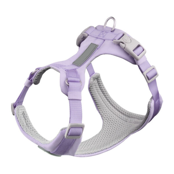 dog harness and leash set