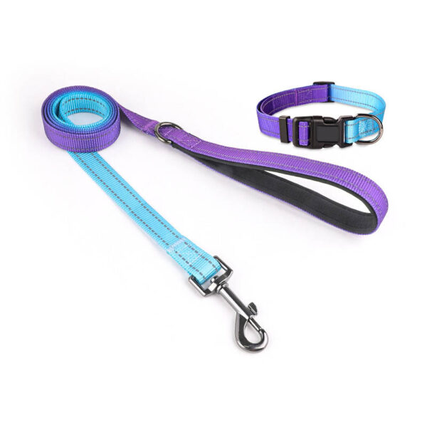 dog leash collar set