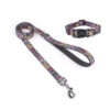 dog leash collar set