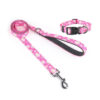 dog leash collar set