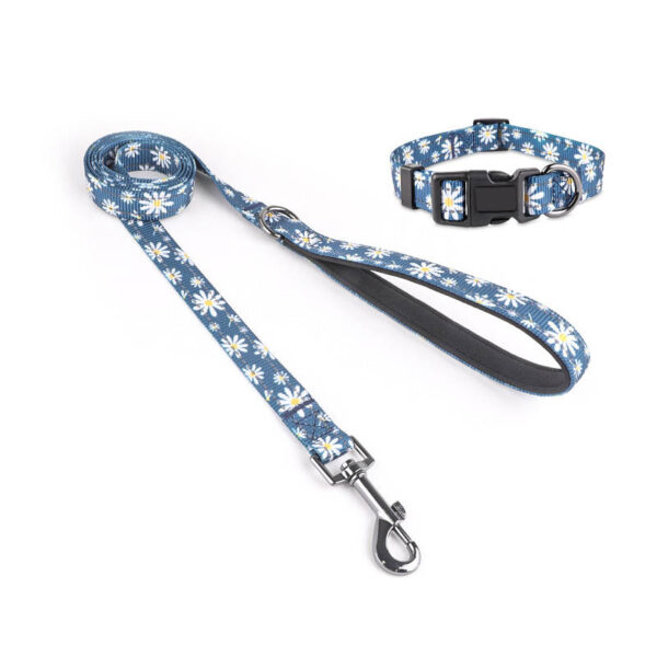 dog leash collar set