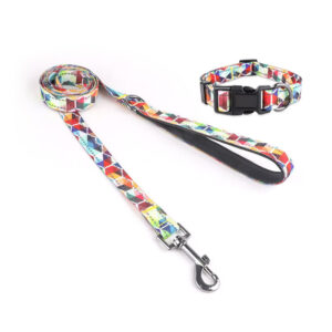 dog leash collar set